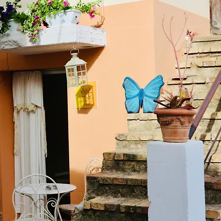 Casa Vacanze Il Chicchino
